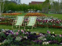 DSCN0766.JPG