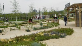 DSCN0797.JPG