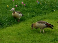 DSCN0799.JPG