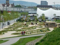 DSCN0800.JPG