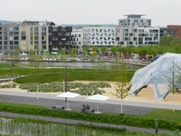 DSCN0802.JPG