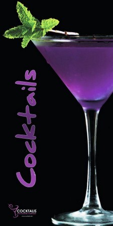B 3 - Banner violett.jpg